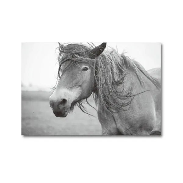 Horse Black and White Photo Poster, Rustic Farm Wall Art, Animal Prints, Canvas Painting Picture, Ideal for Home Room Wall Decor