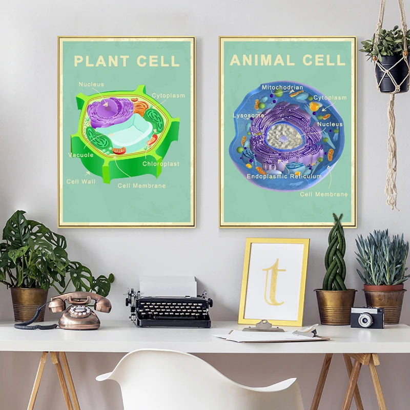 Animal and Plant Cell Biology Posters and Prints Science Educational Wall Art Canvas Painting Pictures Laboratory Office Decor